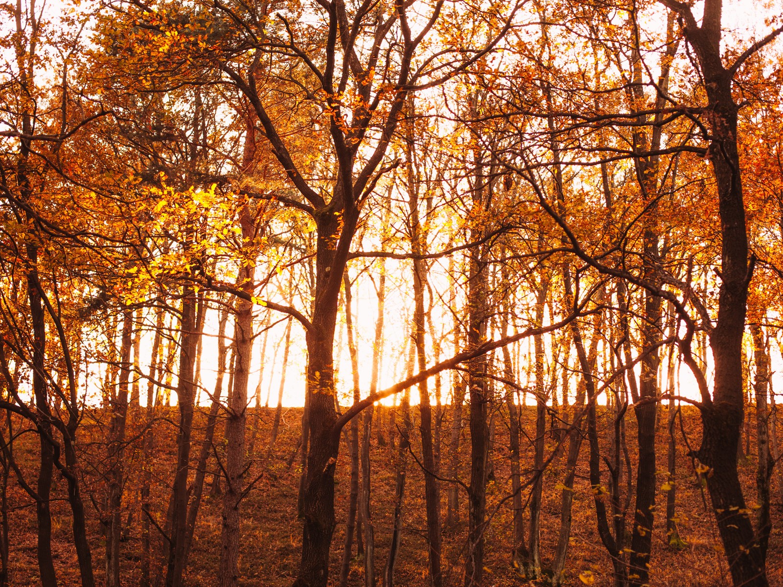 Lorem ipsum dolor sit amet, consetetur sadipscing elitr, sed diam nonumy eirmod tempor invidunt ut labore et dolore magna aliquyam erat, sed diam voluptua.